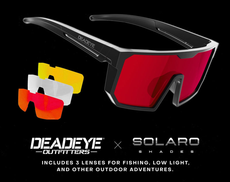Sunglasses & Eyewear
