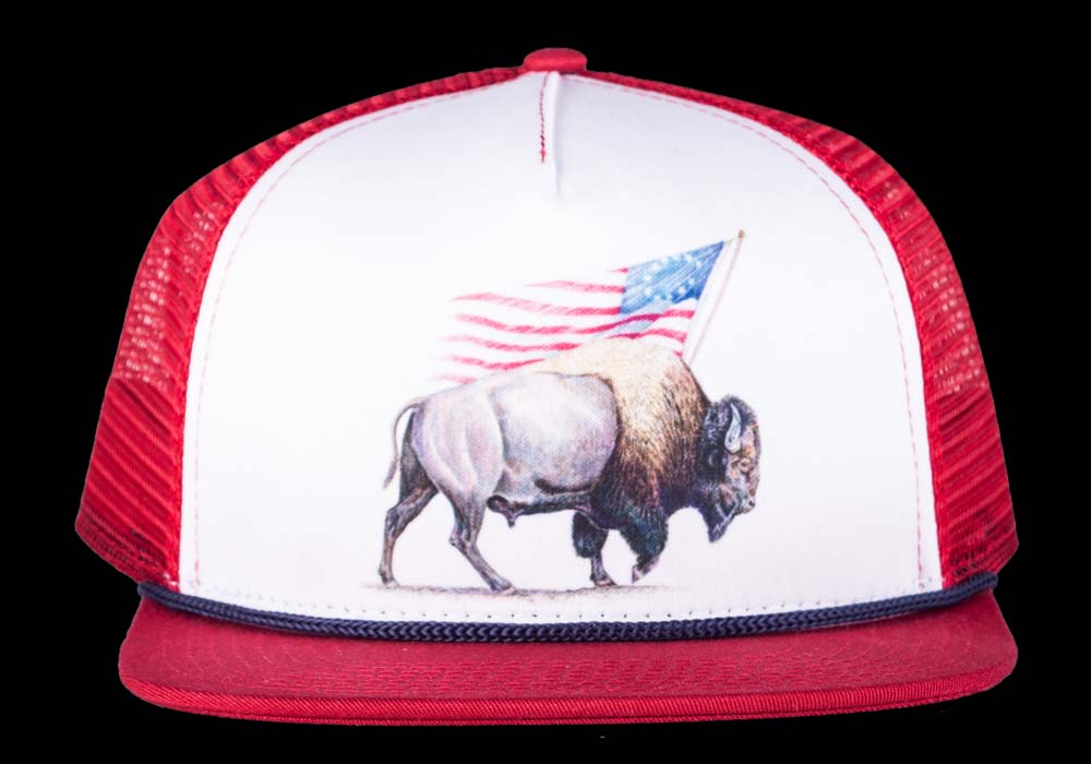 American Bison- Red image 2