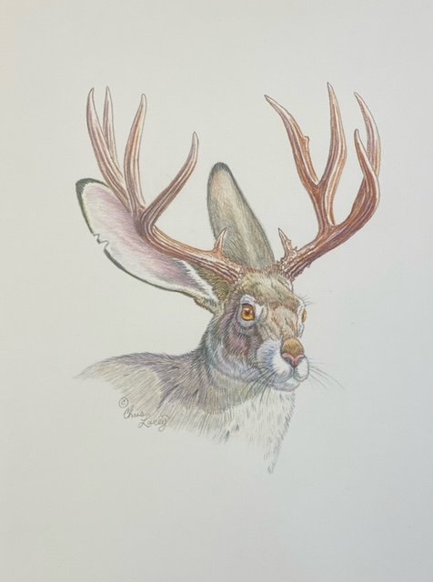 Frozen Jack-Print image 0