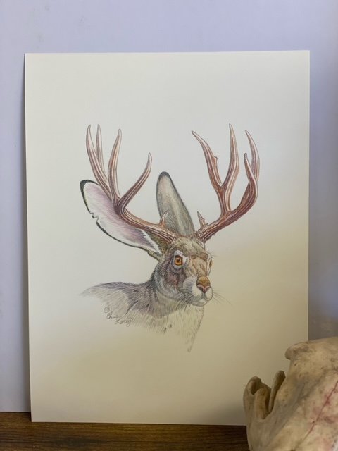 Frozen Jack-Print image 1