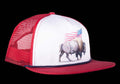 American Bison- Red image 0