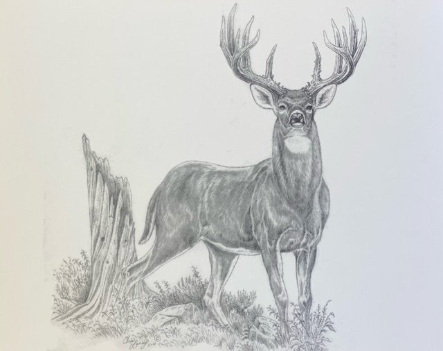 Stud-Print image 0
