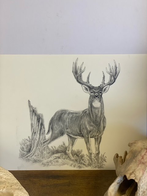 Stud-Print image 1