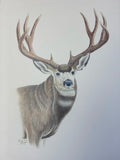 King-Print image 0